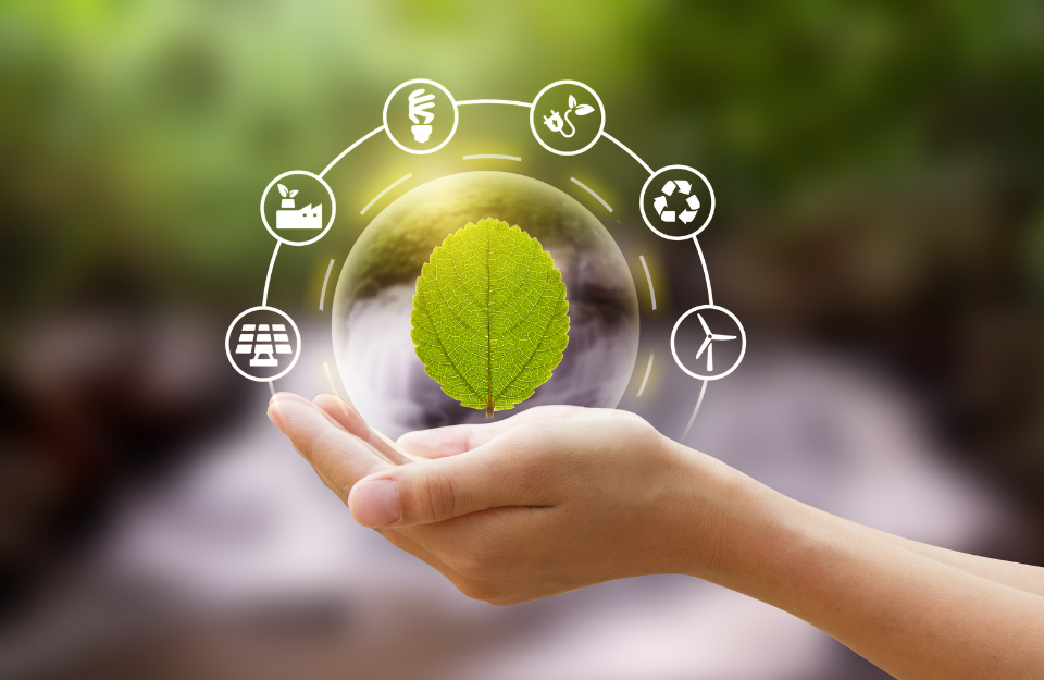 4 Ways to Improve Your End-to-end Supply Chain’s Sustainability main picture